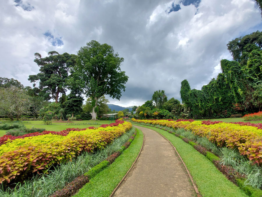 Royal Botanical Gardens Peradeniya, Sri Lanka